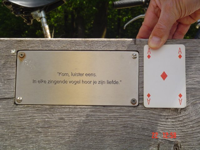 2009HWK056.jpg