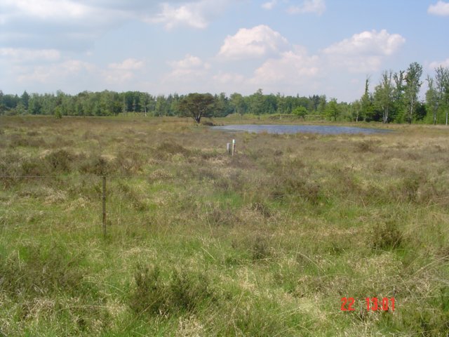 2009HWK057.jpg
