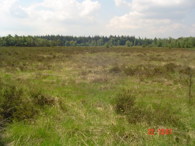 2009HWK058.jpg