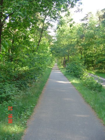 2009HWK071.jpg