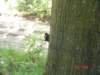 2009HWK059_small.jpg