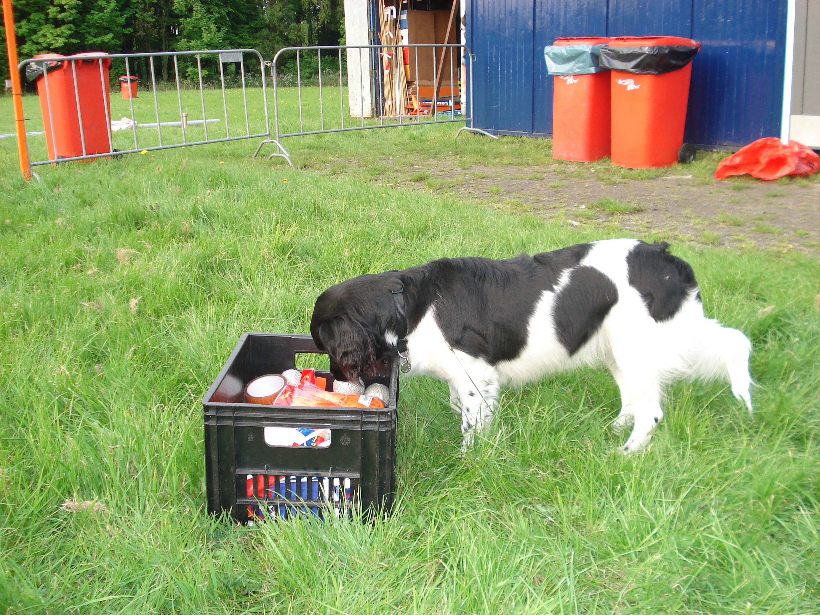 2009Koninginnedag16.jpg