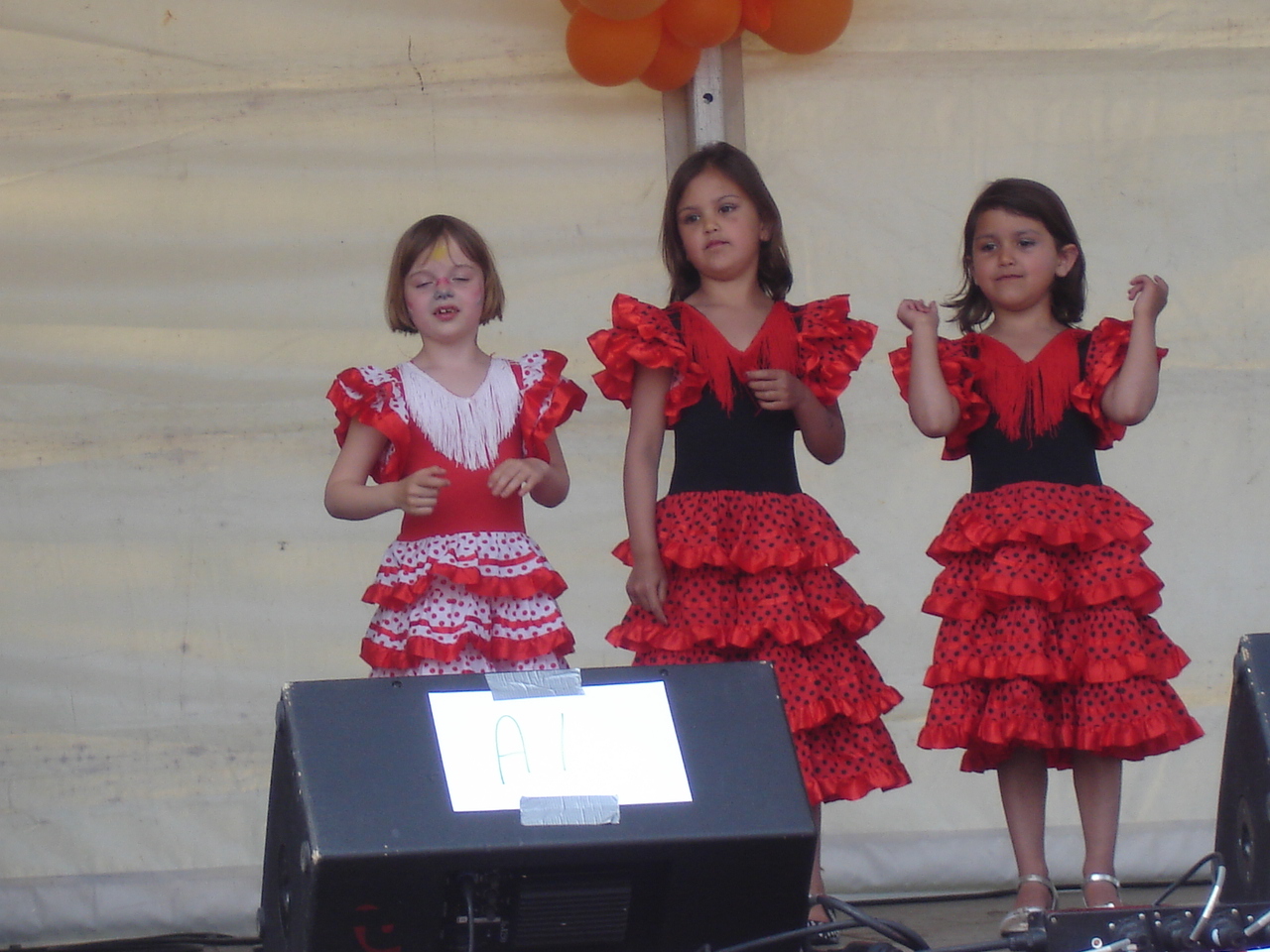 2009Koninginnedag183.jpg
