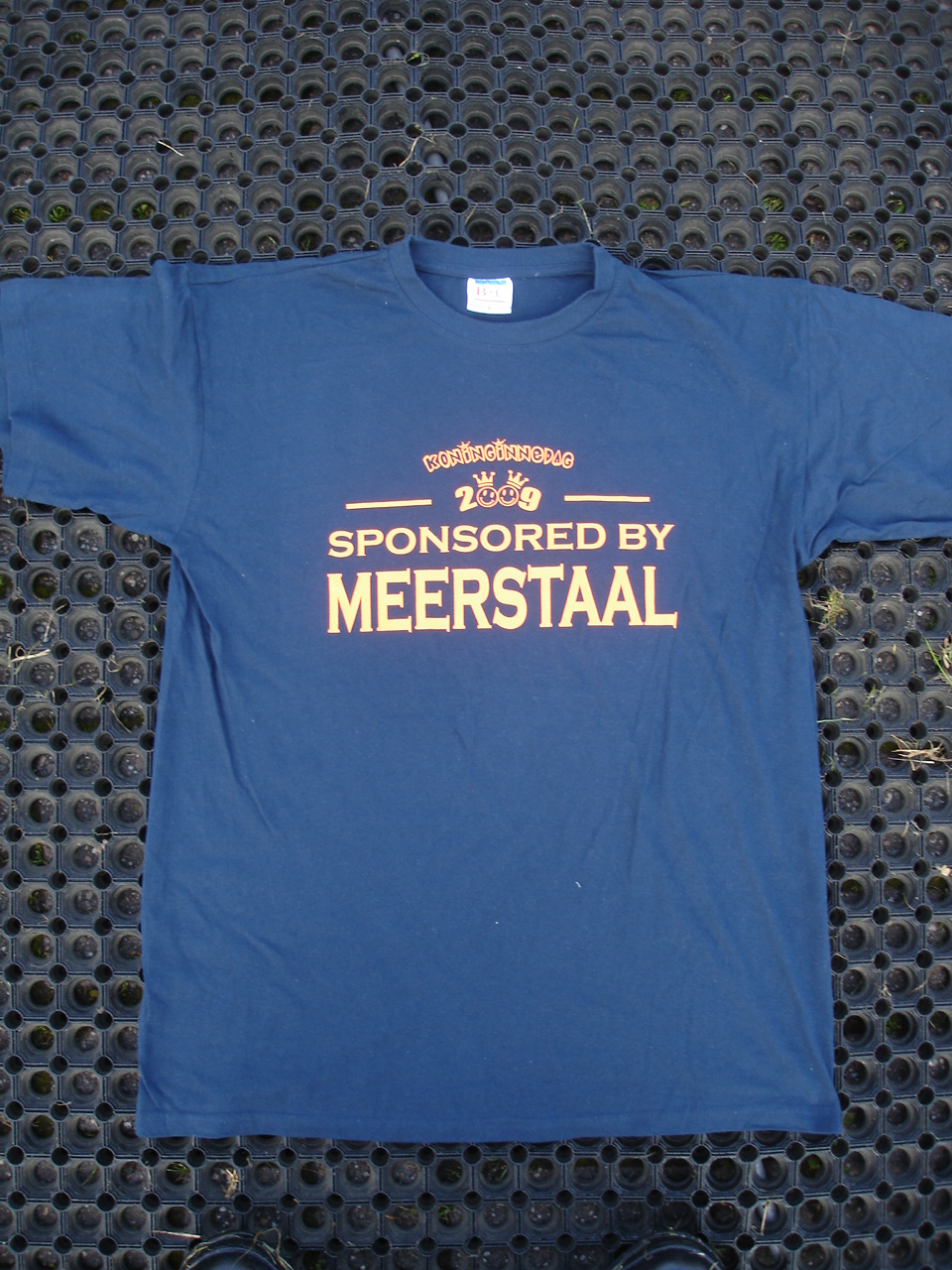 2009Koninginnedag57.jpg