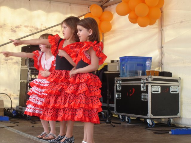 2009Koninginnedag187.jpg