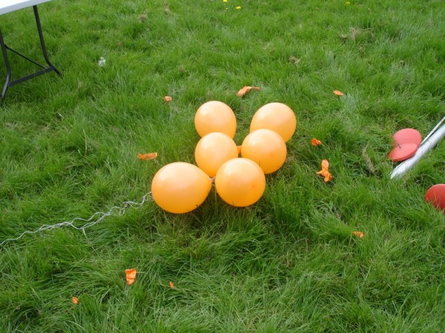 2009Koninginnedag38.jpg