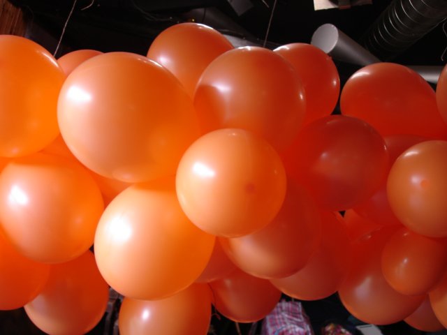 2009Koninginnedag44.jpg