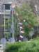 2009Koninginnedag13_small.jpg