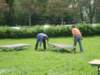 2009Koninginnedag29_small.jpg