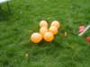 2009Koninginnedag38_small.jpg