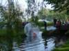 2009Koninginnedag85_small.jpg
