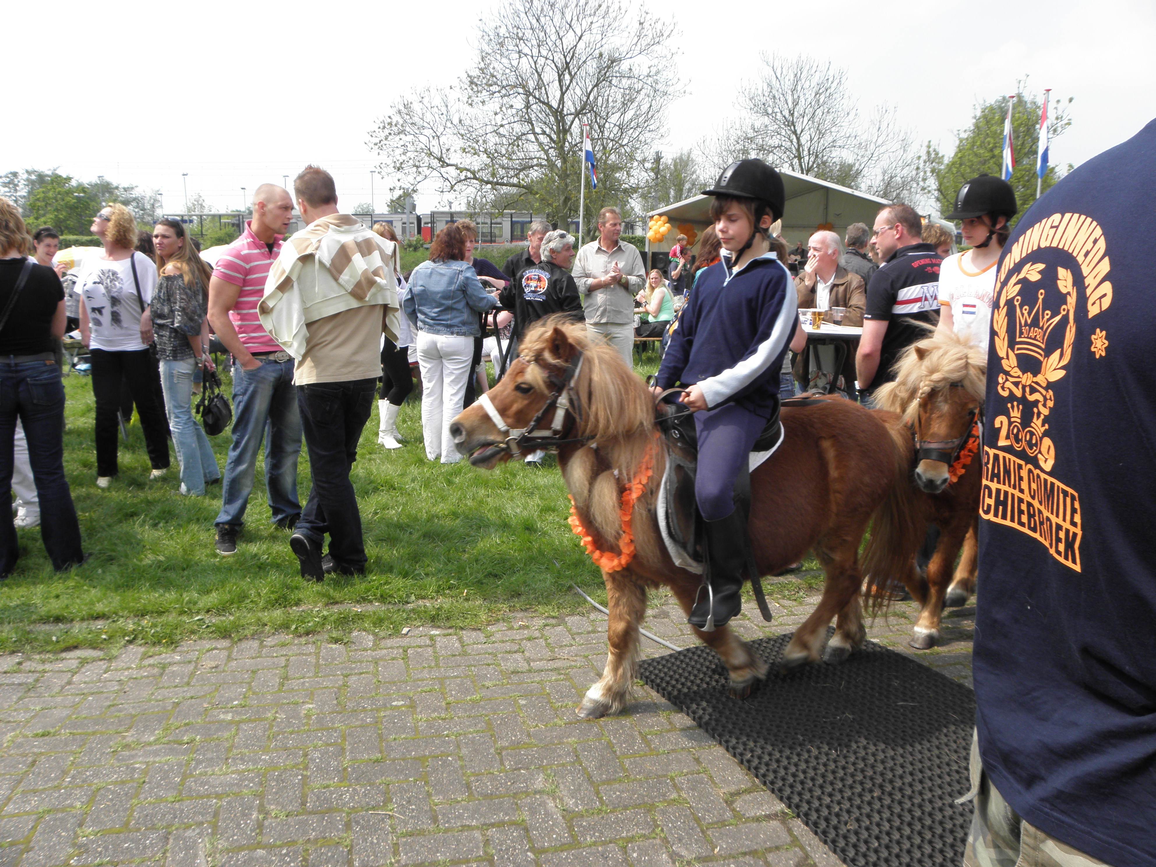 2009Koninginnedag013.jpg