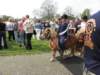 2009Koninginnedag013_small.jpg