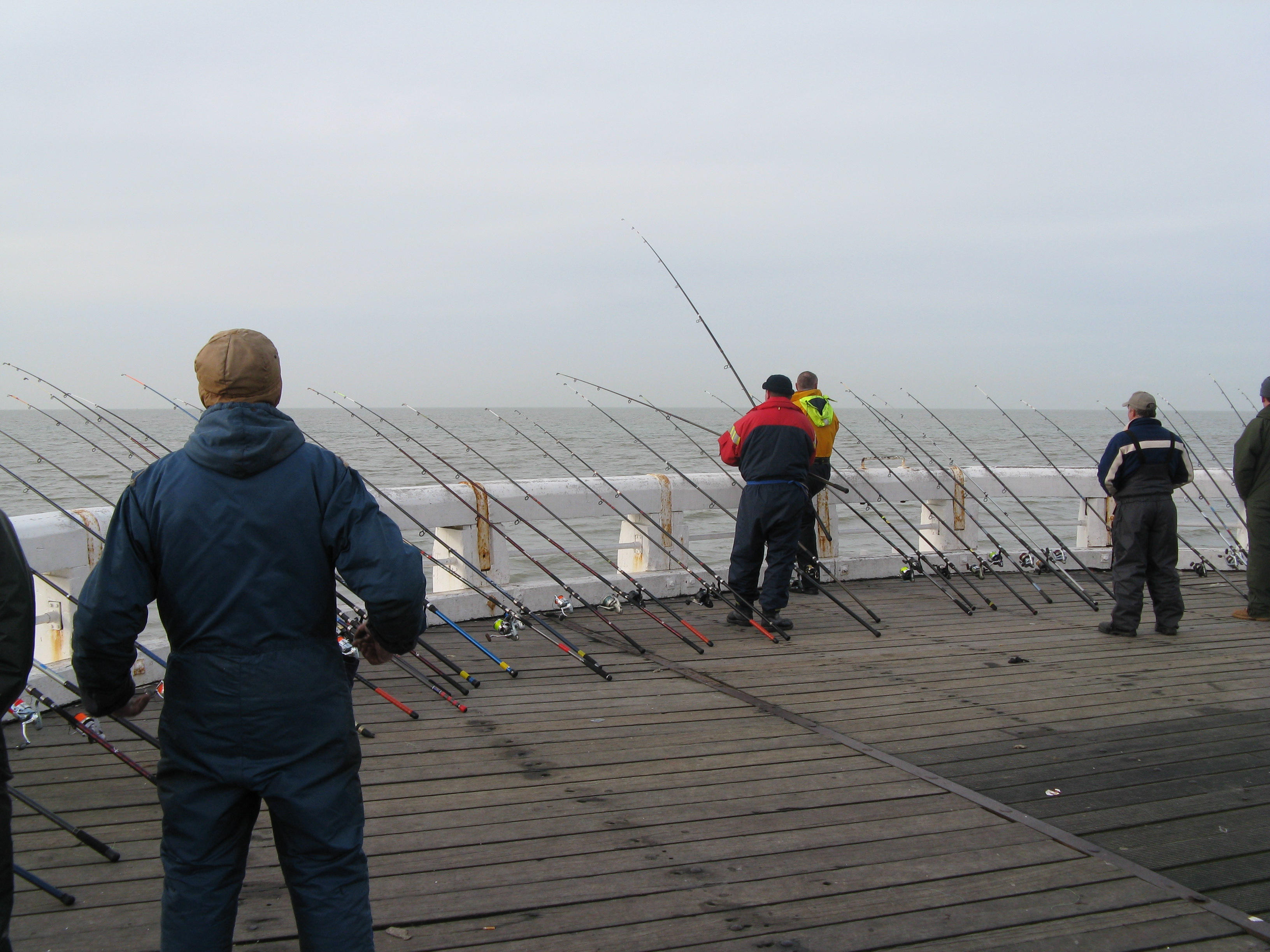 NWK200939.jpg