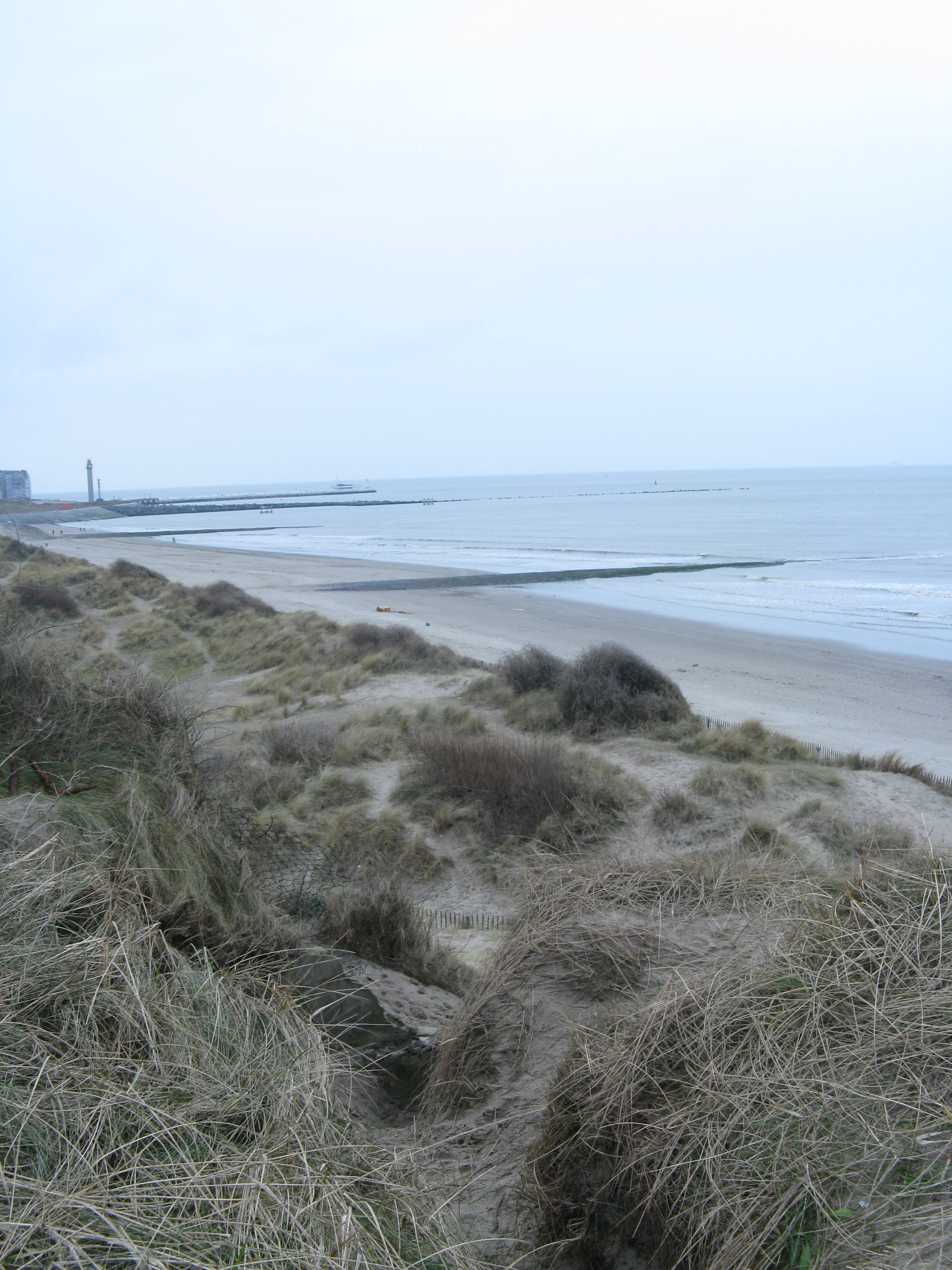 NWK200956.jpg