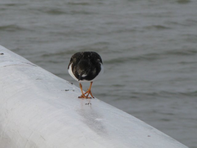 NWK200933.jpg