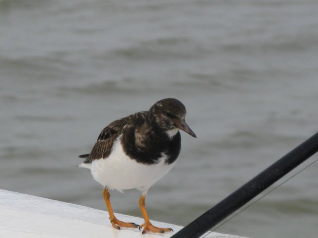 NWK200934.jpg