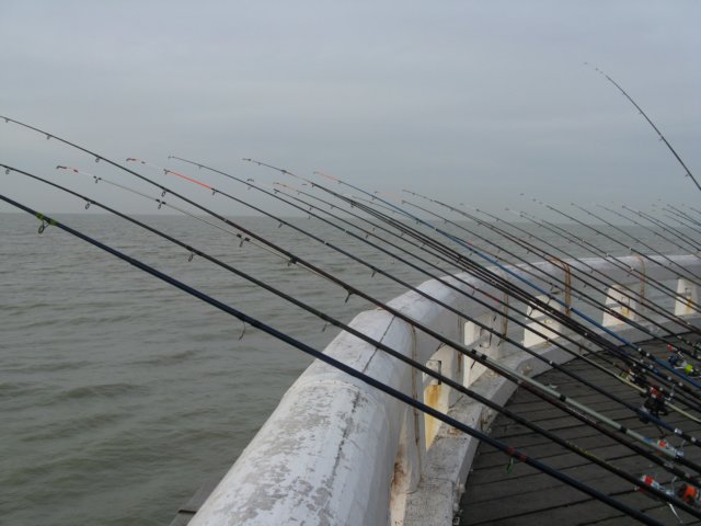 NWK200938.jpg