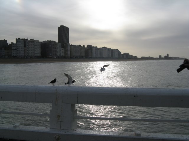NWK200940.jpg