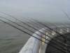NWK200938_small.jpg