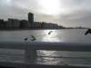 NWK200940_small.jpg