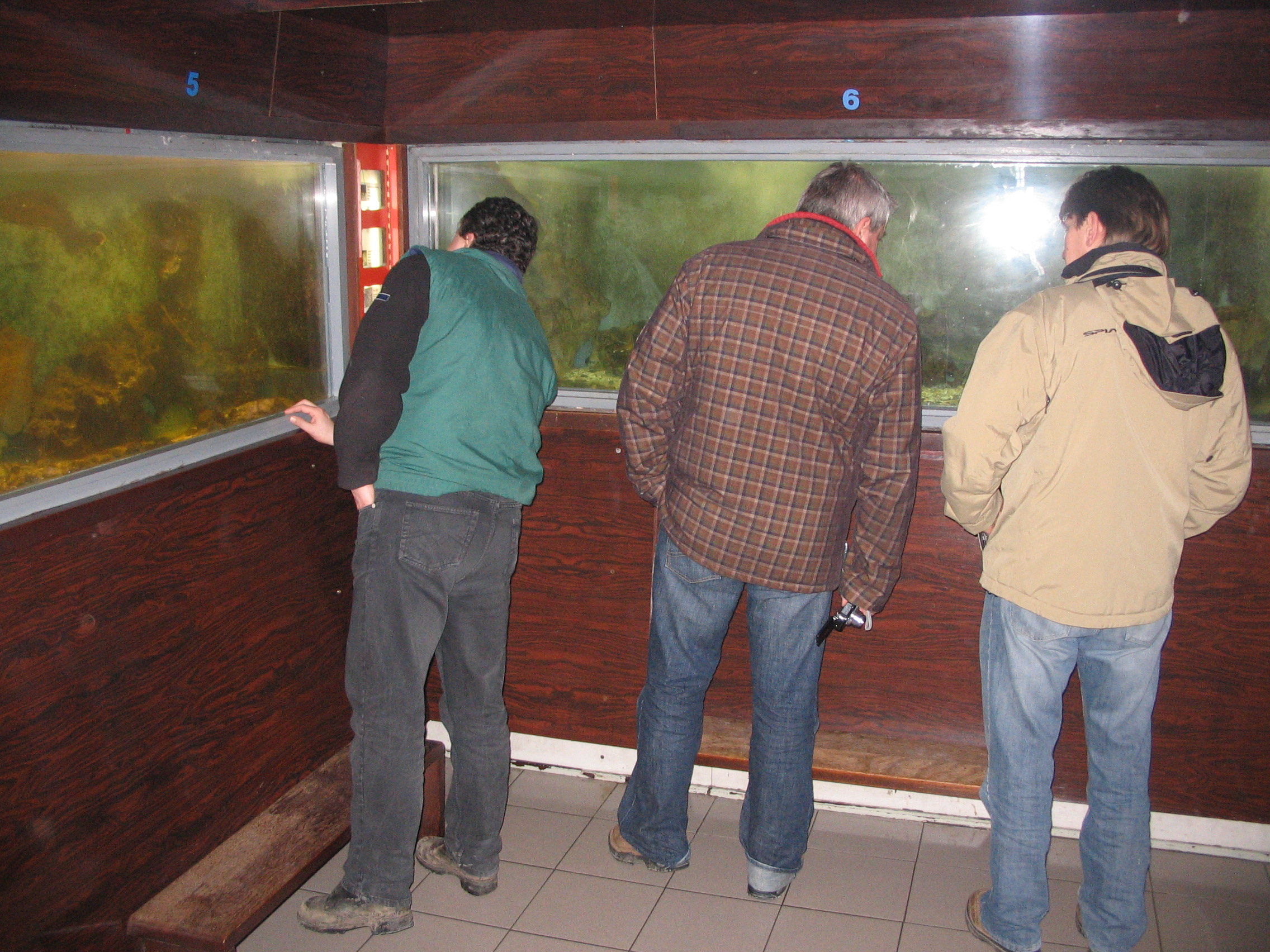 2009NWK28.jpg