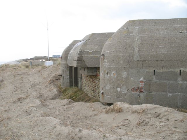 2009NWK104.jpg