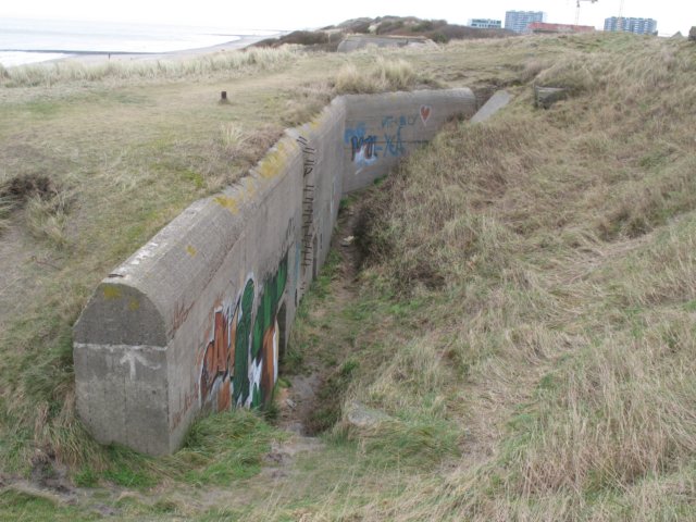 2009NWK108.jpg