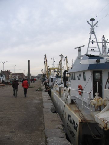 2009NWK17.jpg