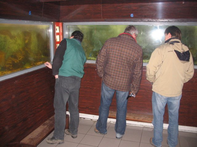 2009NWK28.jpg