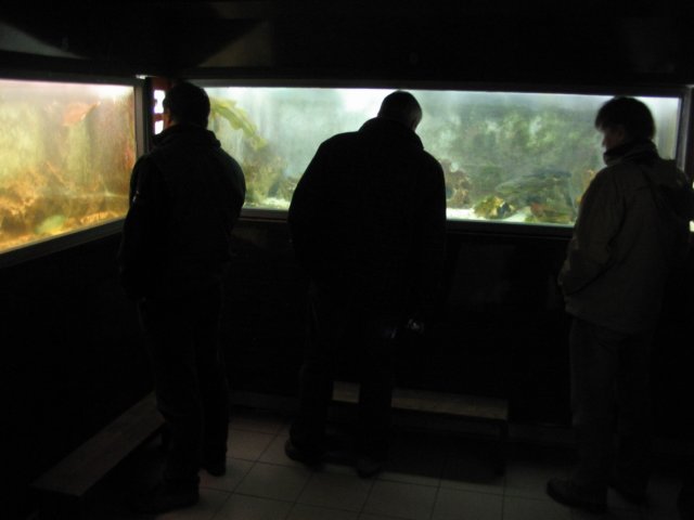 2009NWK29.jpg