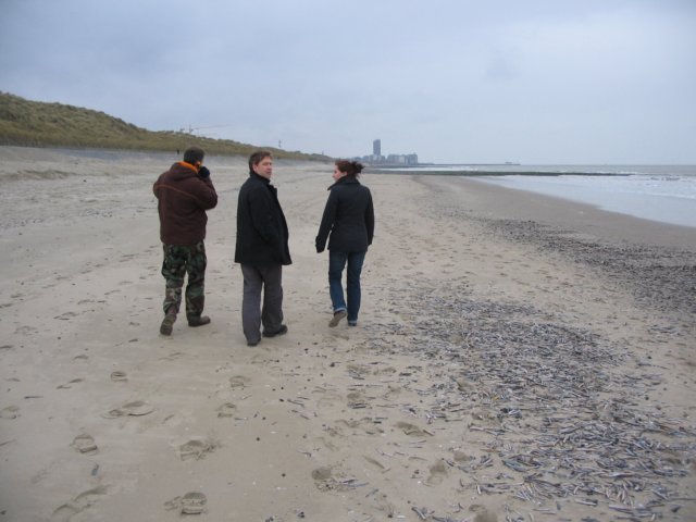 2009NWK42.jpg