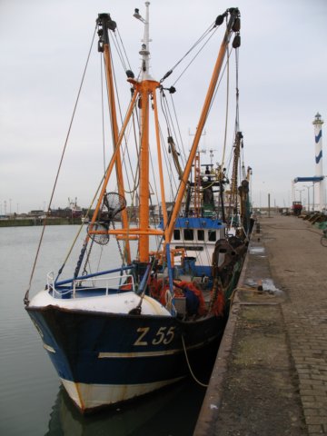 2009NWK73.jpg
