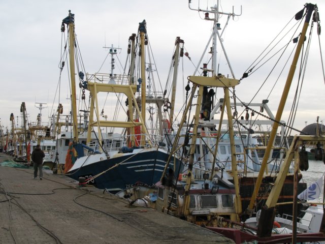 2009NWK74.jpg