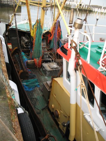 2009NWK85.jpg