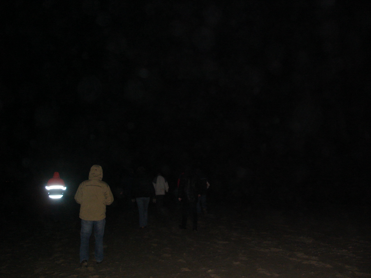 NWK200931.jpg