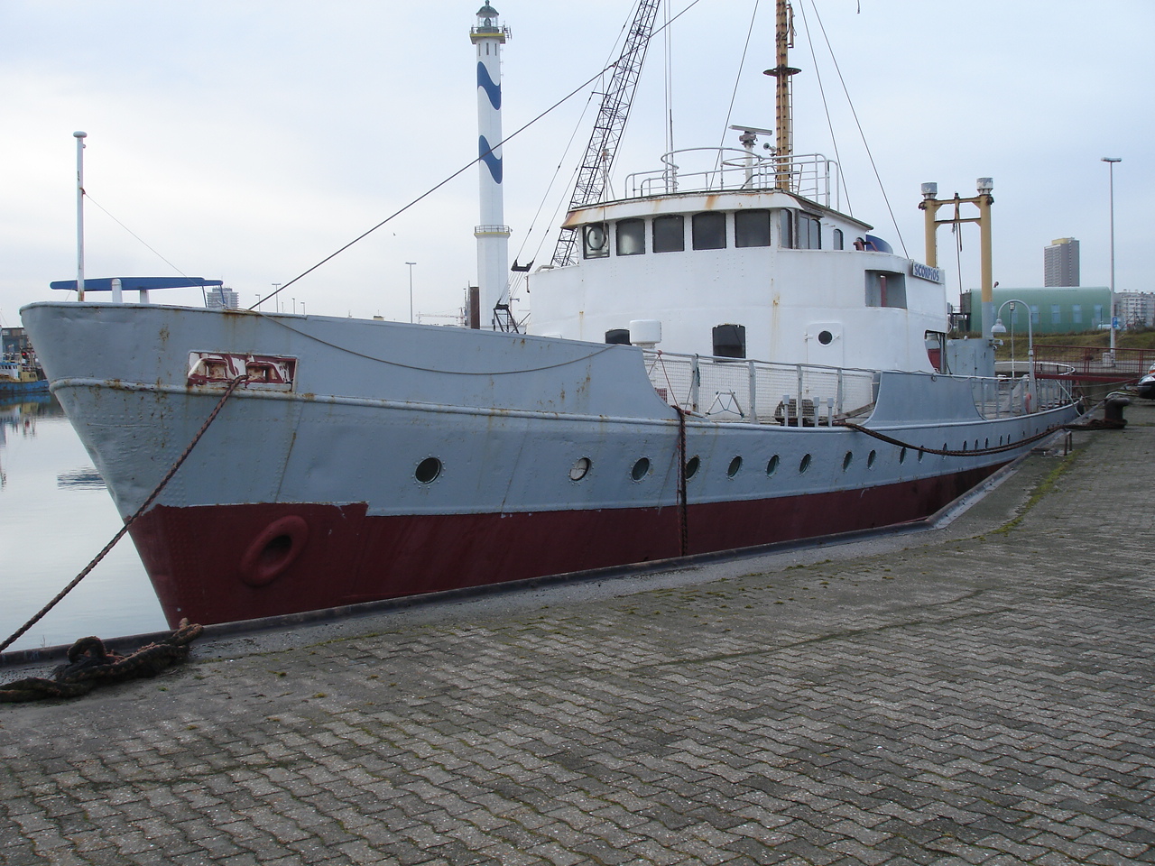 NWK200951.jpg