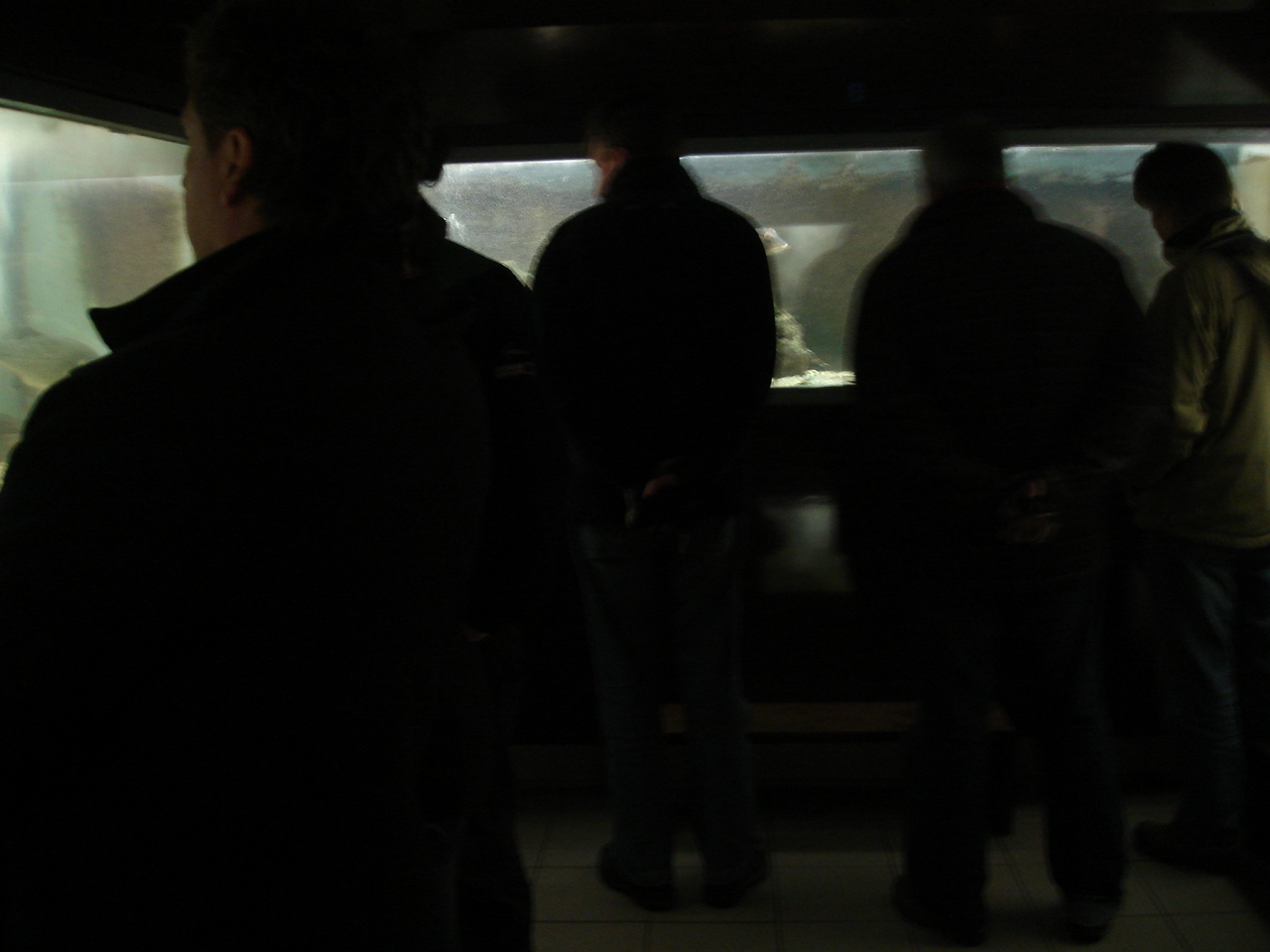 NWK200984.jpg