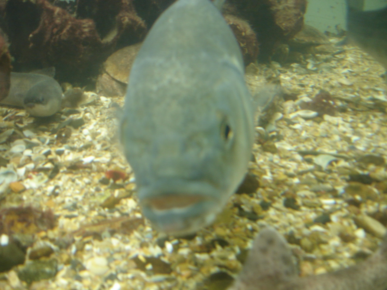 NWK200986.jpg