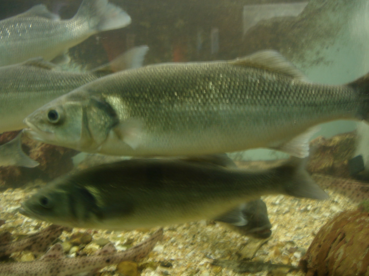NWK200988.jpg