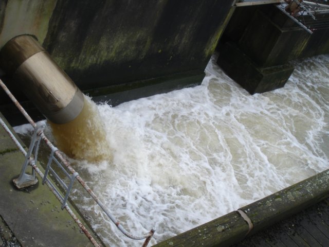 NWK200959.jpg