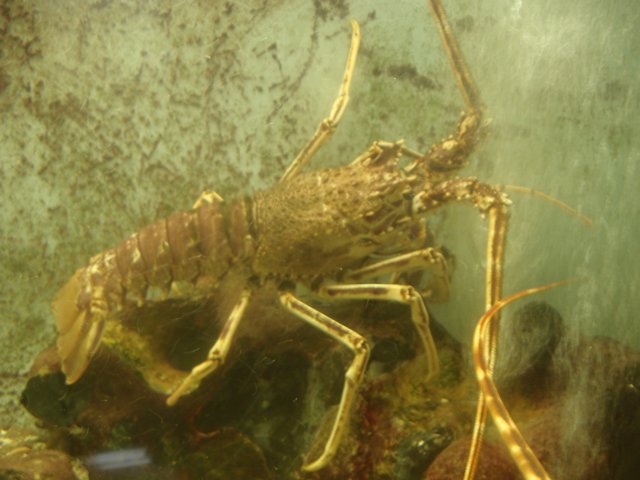 NWK200982.jpg
