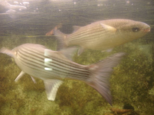 NWK200983.jpg