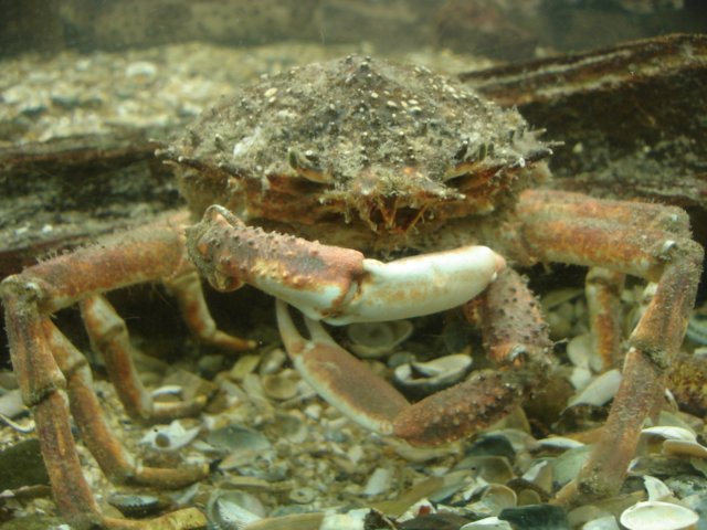 NWK200985.jpg