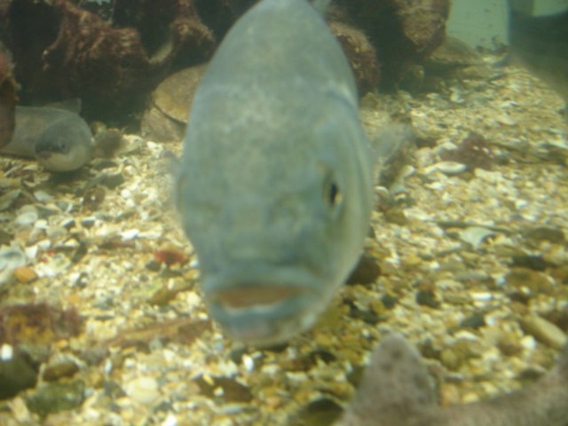 NWK200986.jpg