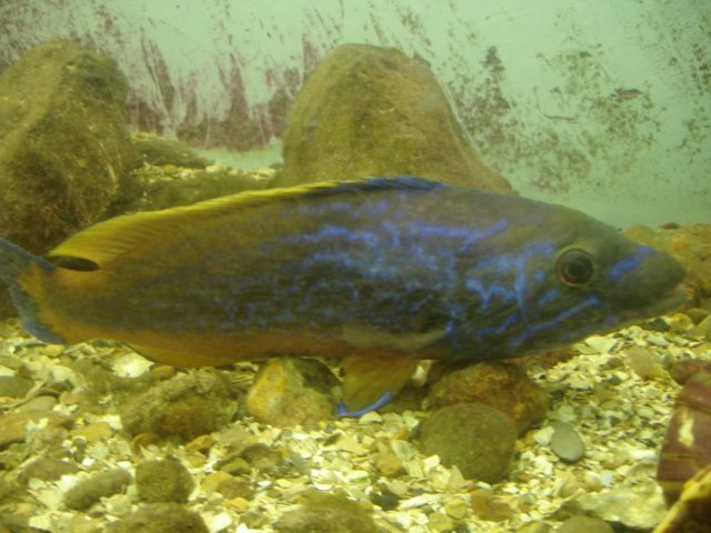 NWK200987.jpg