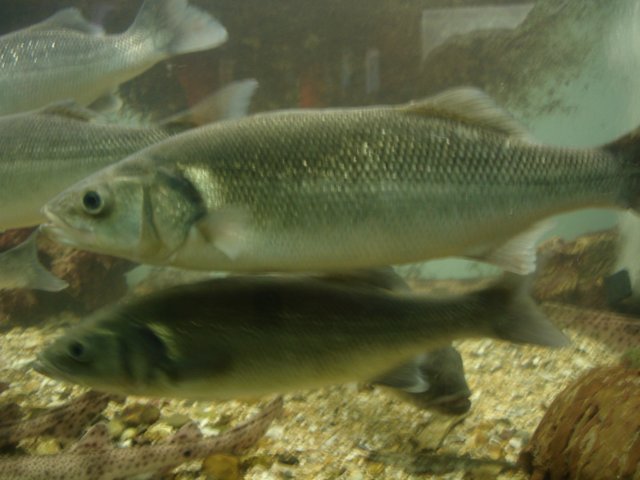 NWK200988.jpg