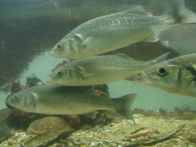NWK200989.jpg