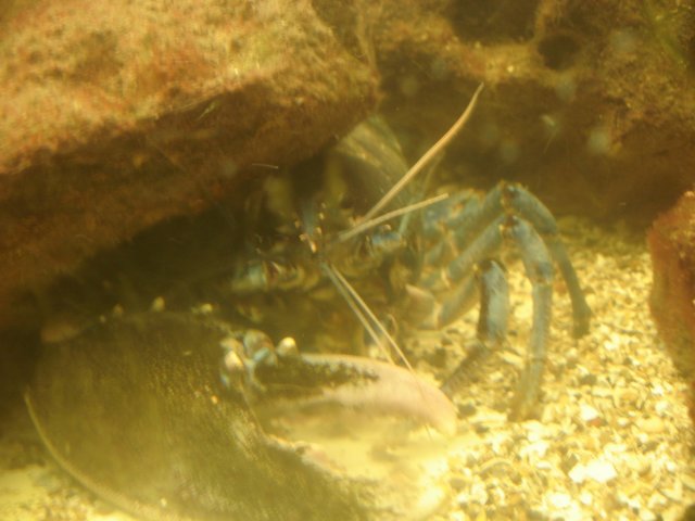 NWK200990.jpg