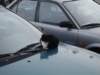 NWK200967_small.jpg